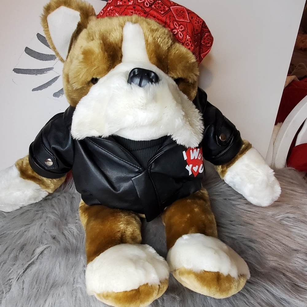 Biker dog